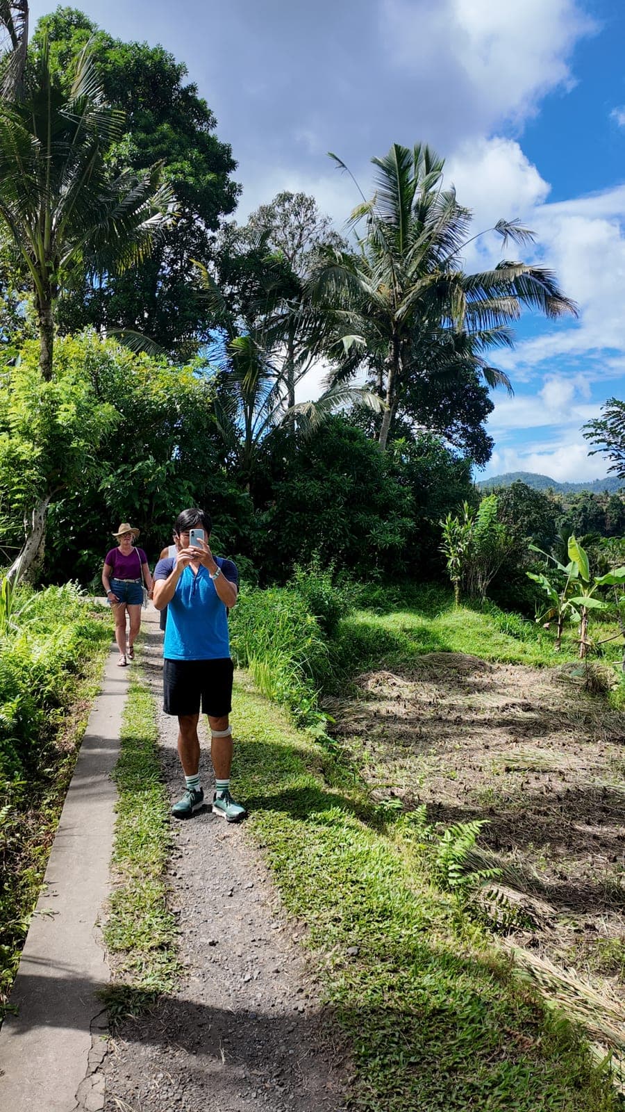 Trek path through Balinese palms