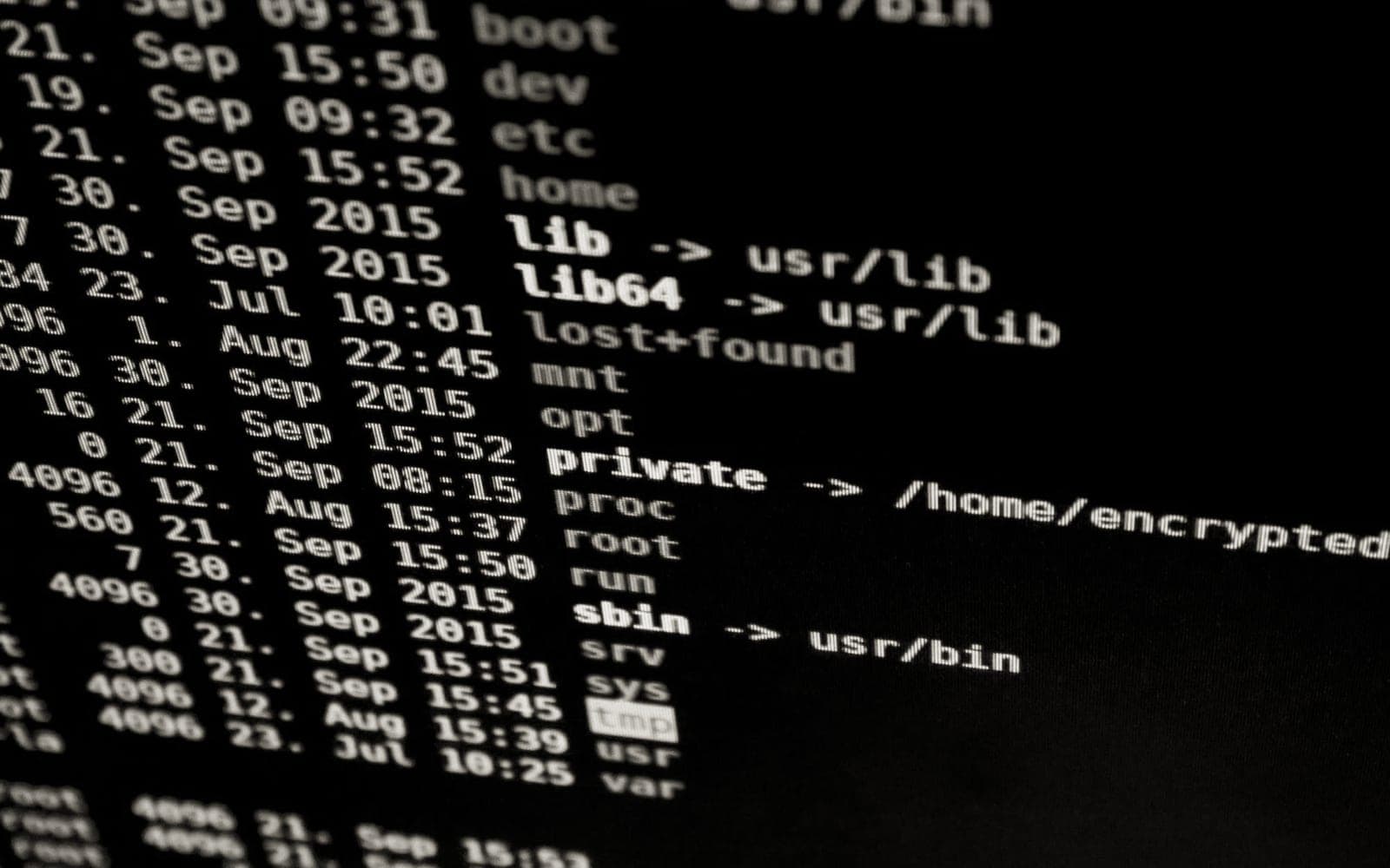 Claude Code session · TUI logs · weekend rebuild