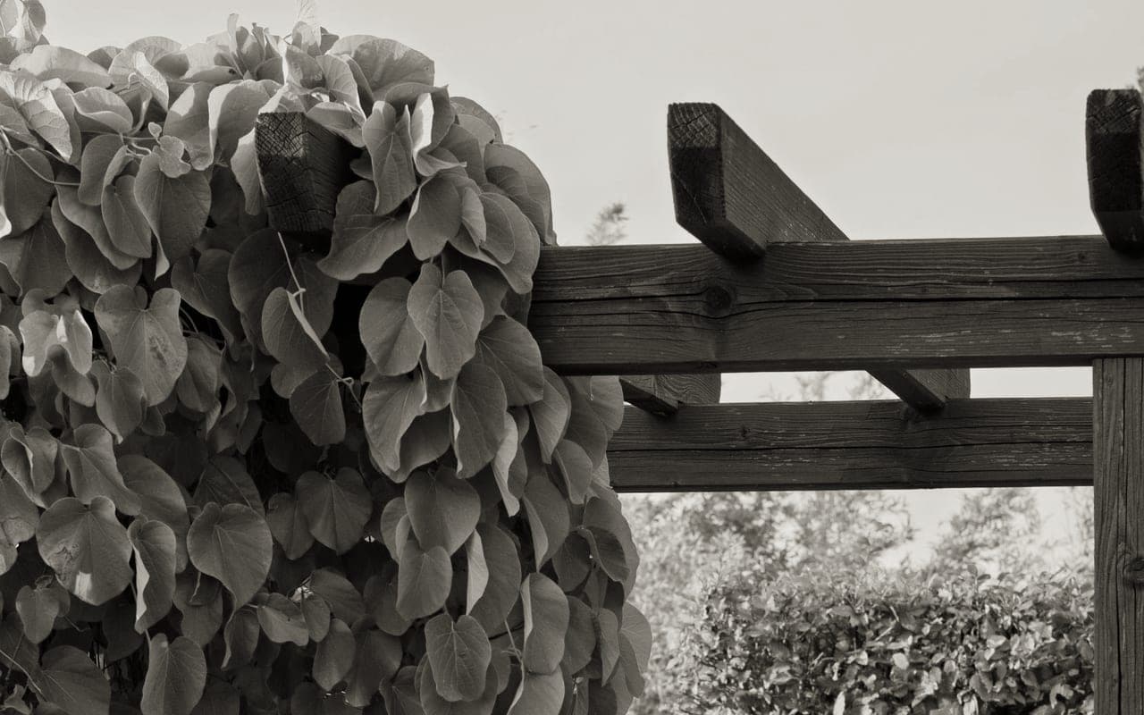 Verdant Acre · Seattle Landscape Architecture — live screenshot