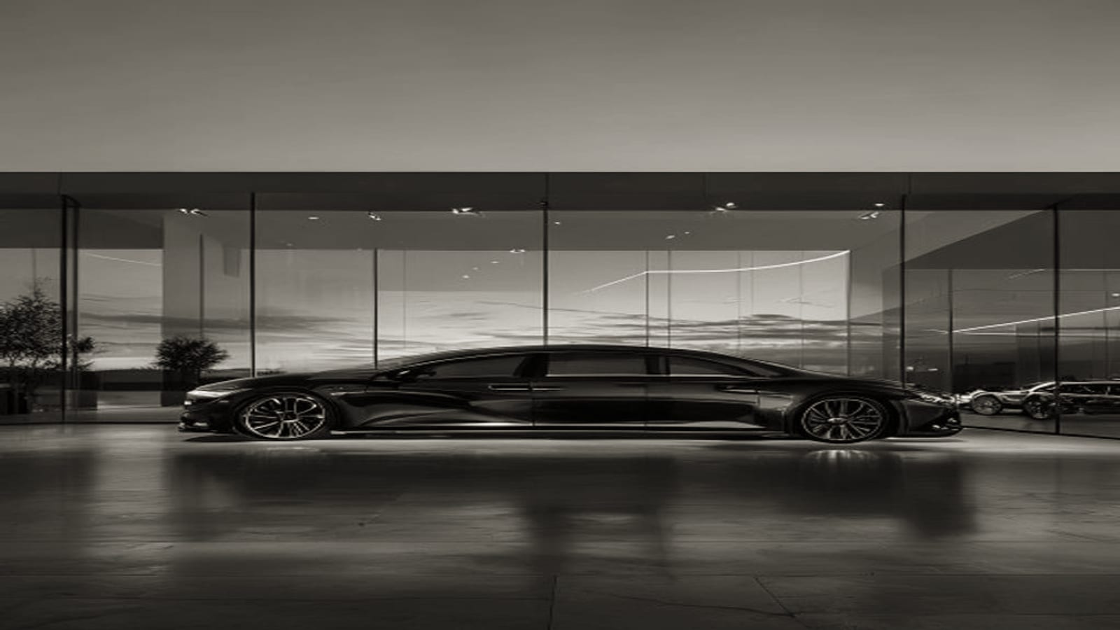 Premium auto dealership network (anonymized) — Automotive retail