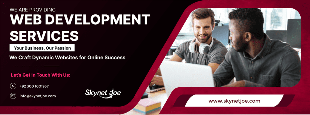 We are providing web development services 